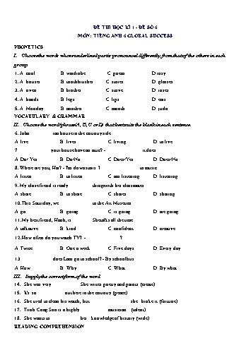 Đề thi học kì 1 môn Tiếng Anh Lớp 6 (Global Success) - Đề số 6 (Có đáp án)