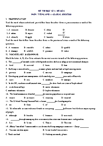 Đề thi học kì 2 môn Tiếng Anh Lớp 11 (Global Success) - Đề số 5 (Có đáp án)